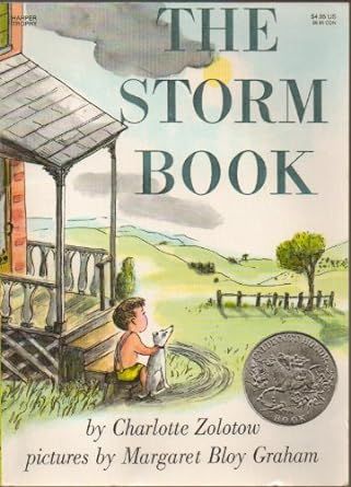 The Storm Book: A Caldecott Honor Award Winner